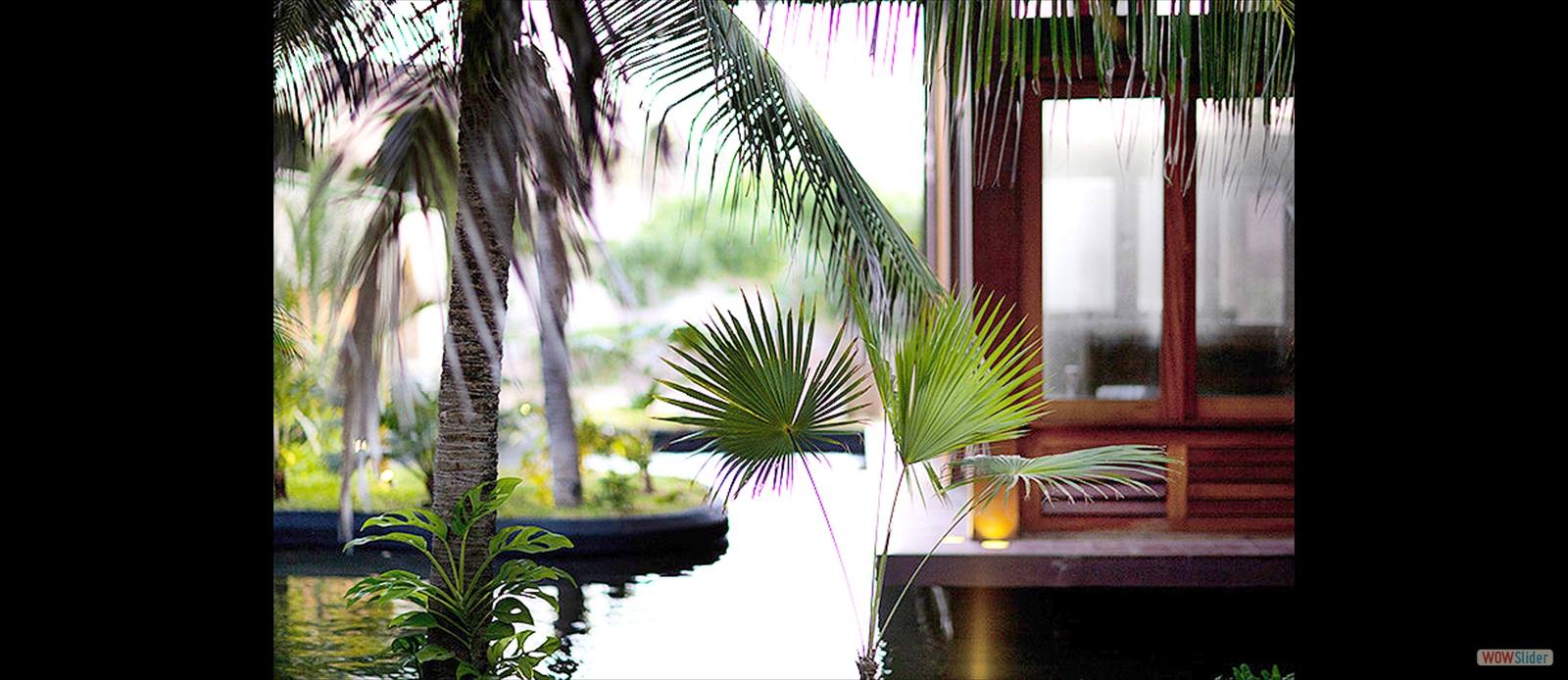 Detalhe jardim Zorah Beach Hotel (Trairi-Ceará)