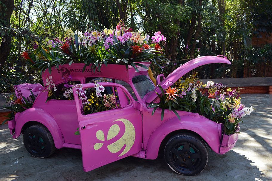 fusca